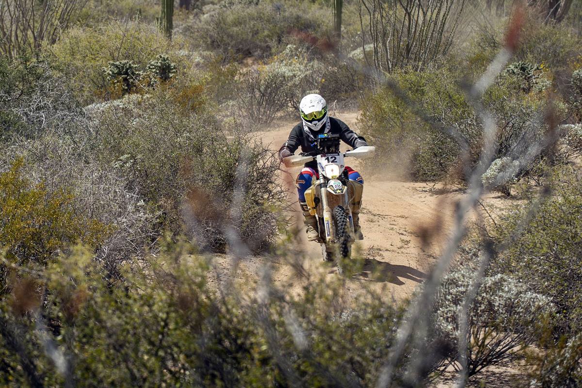 rally de motociclistas salvajes