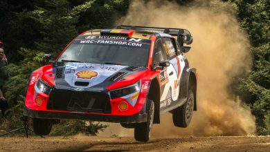 thierry neuville que le paso