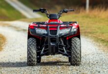 ¿Cuánto cuesta la Honda Trx 250?