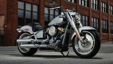 Harley-Davidson Fat Boy Gray Ghost