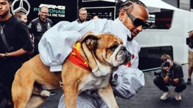 qué le pasó a Lewis Hamilton
