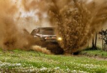 W2RC Portugal 2026 resultados