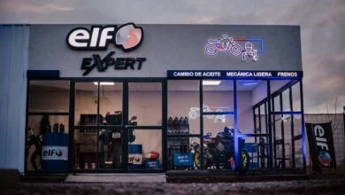 ELF Expert
