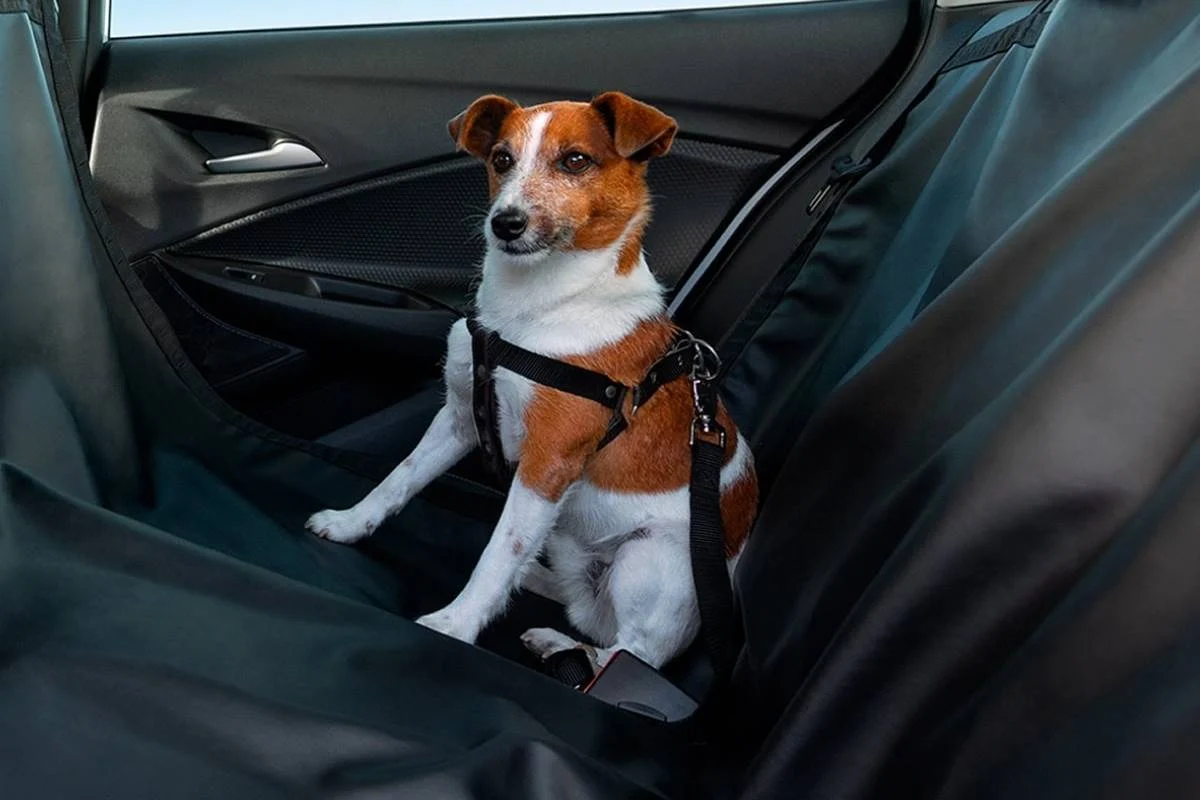 Onstar 